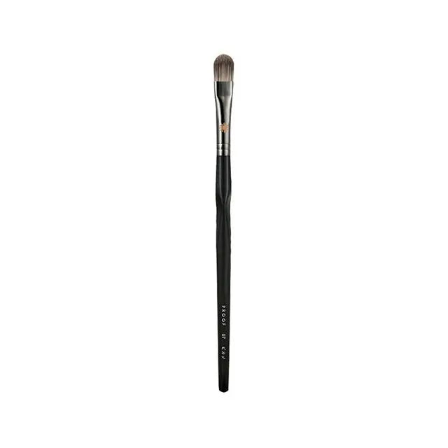 Picasso Professional Makeup Brushes Foundation Brushes Eyeshadow Brushes Makeup Foundation Brushes  Beauty Tools Goat Hair Brush