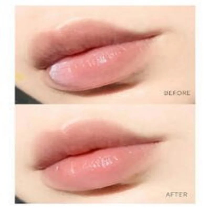 Natural Plant Lip Balm Moisturizing Lipsticks Base Cute Makeup Anti-Cracking Lip Oil Original Korean Cosmetics Skin Care New