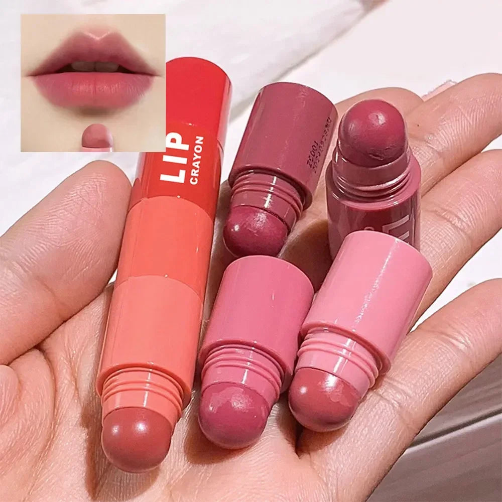 4 Colors In 1 Matte Nude Pink Red Lipstick Lip Liner Pen Long Long Waterproof Crayon Lipstick Pencil Lips Makeup Cosmetic Kit