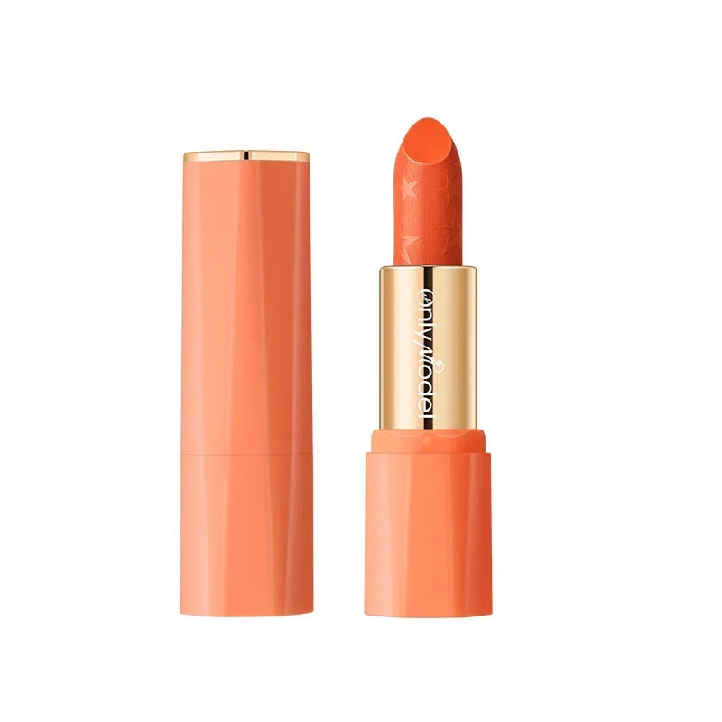 Orange Lipstick Velvet Matte Lipsticks Waterproof Long Lasting Lip Stick Velvet Lip Tint Women Cosmetic Sexy Lip Glaze Makeup