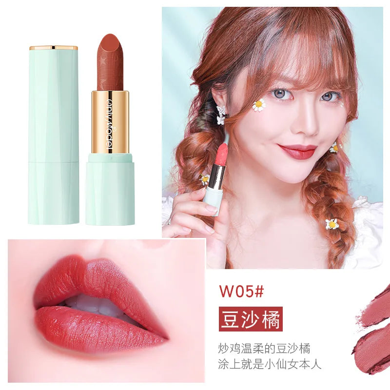 Orange Lipstick Velvet Matte Lipsticks Waterproof Long Lasting Lip Stick Velvet Lip Tint Women Cosmetic Sexy Lip Glaze Makeup