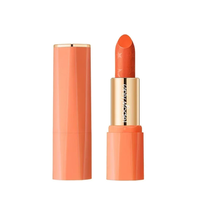 Orange Color Lipstick Lip Glaze Silky Smooth Not Easy To Fade Lip Gloss Matte Lasting Lip Stick Sexy Women Cosmetics Makeup