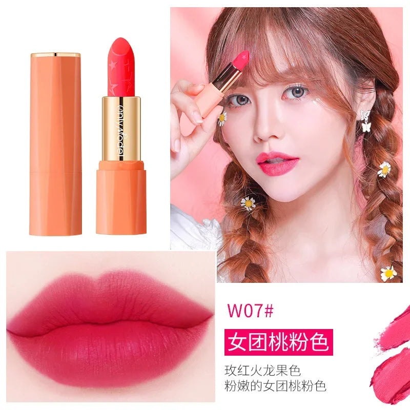 Orange Lipstick Velvet Matte Lipsticks Waterproof Long Lasting Lip Stick Velvet Lip Tint Women Cosmetic Sexy Lip Glaze Makeup