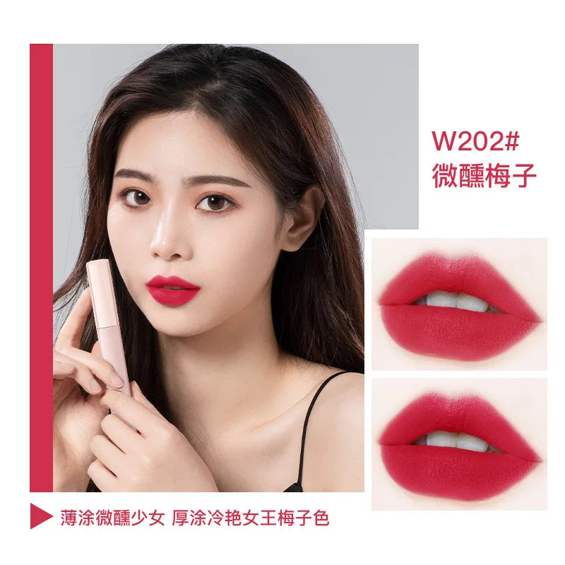 Orange Lipstick Velvet Matte Lipsticks Waterproof Long Lasting Lip Stick Velvet Lip Tint Women Cosmetic Sexy Lip Glaze Makeup