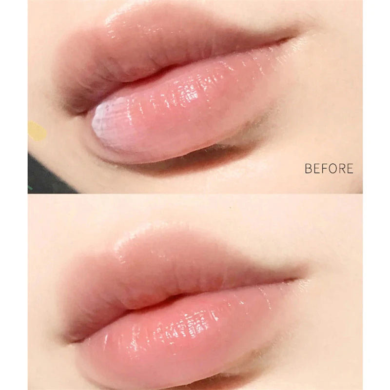 Natural Plant Lip Balm Moisturizing Lipsticks Base Cute Makeup Anti-Cracking Lip Oil Original Korean Cosmetics Skin Care New