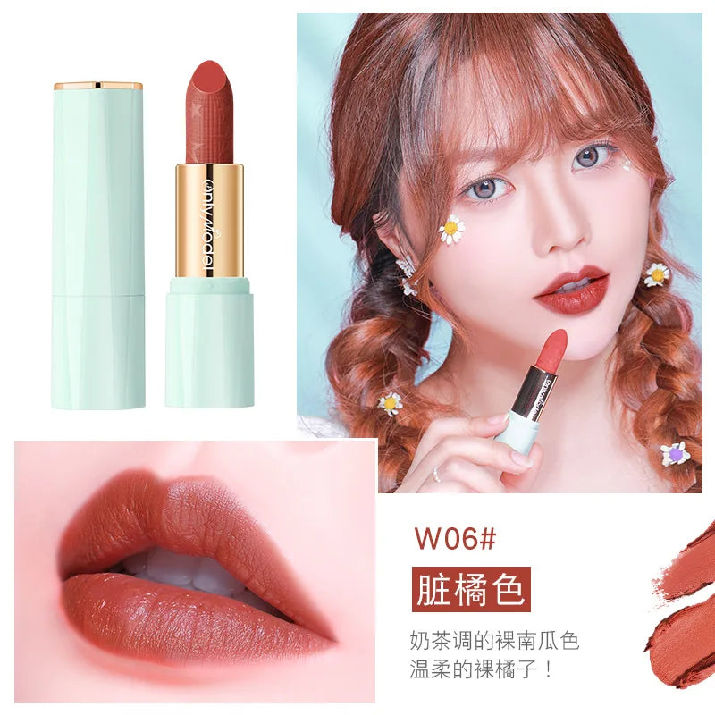 Orange Lipstick Velvet Matte Lipsticks Waterproof Long Lasting Lip Stick Velvet Lip Tint Women Cosmetic Sexy Lip Glaze Makeup