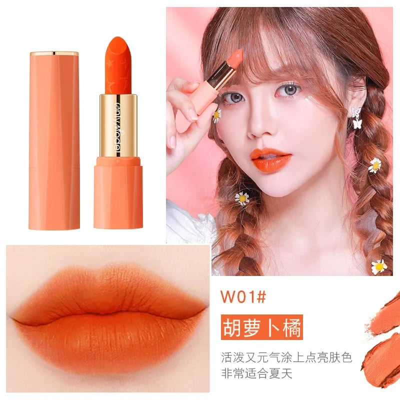 Orange Lipstick Velvet Matte Lipsticks Waterproof Long Lasting Lip Stick Velvet Lip Tint Women Cosmetic Sexy Lip Glaze Makeup